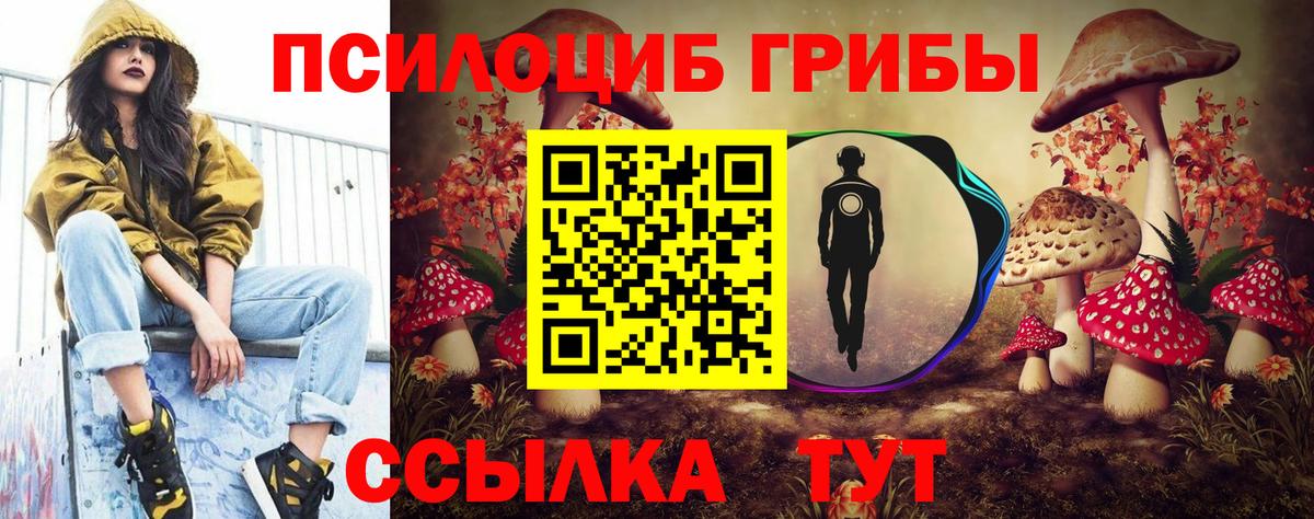 Галлюциногенные грибы GOLDEN TEACHER Батайск